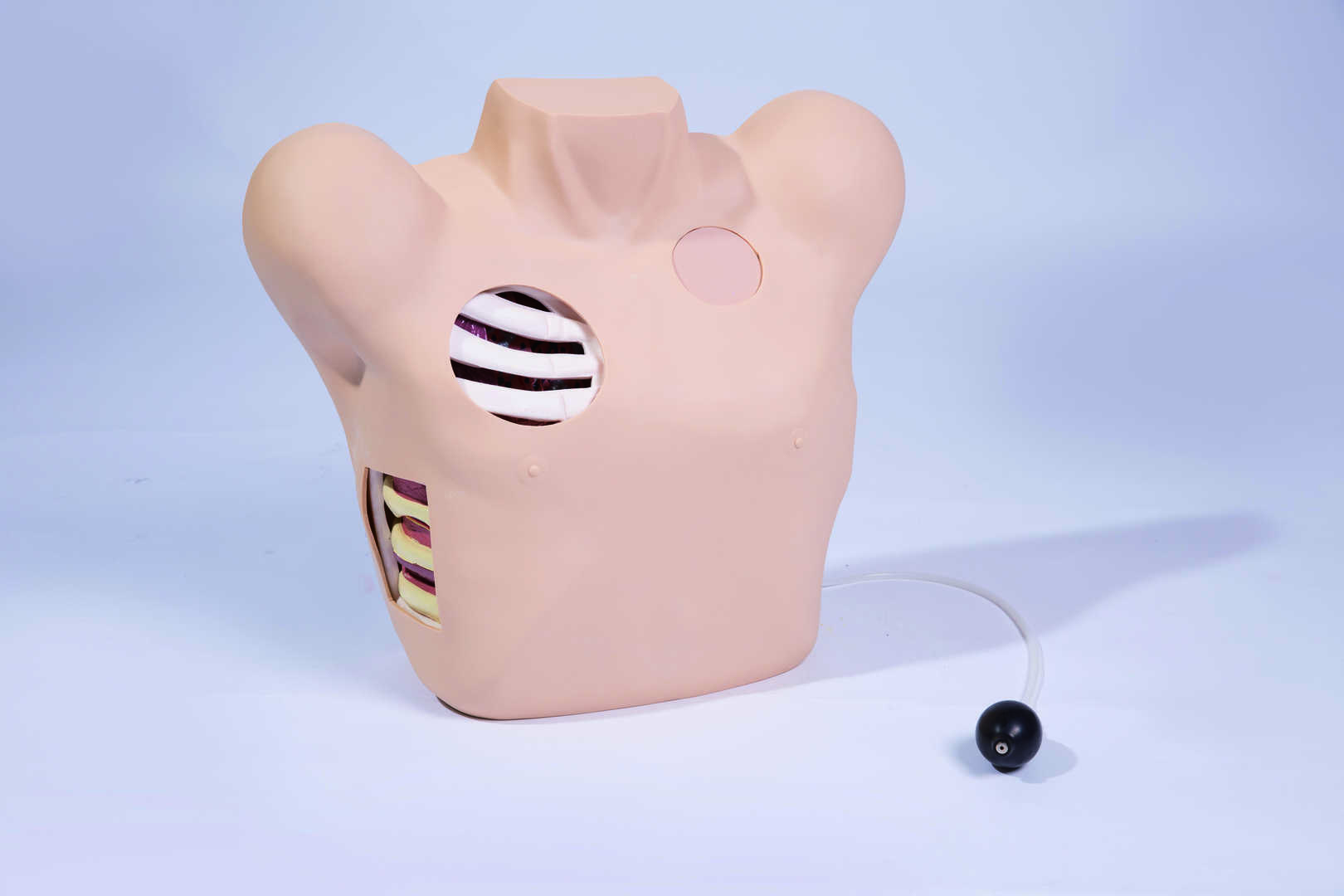 Thoracentesis Training and Demonstration Simulator