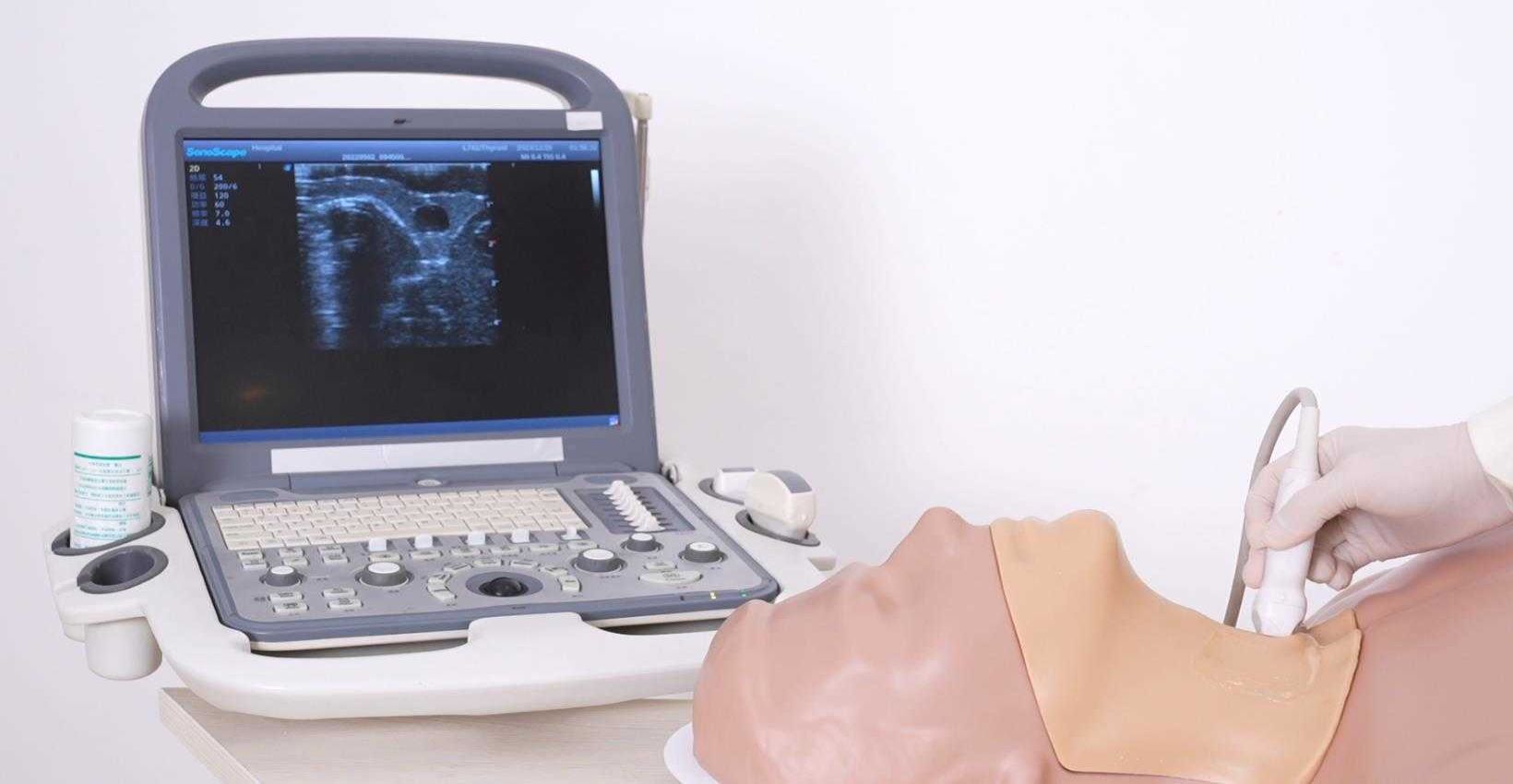 Thyroid Ultrasound Training Model